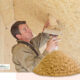 Mann integriert Holzfaser Einblasdämmung Blog | DämmRaum in Appenweier